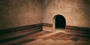 Infestaciones De Roedores