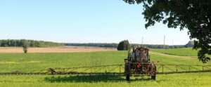 Large Sprayer In Very Weedy Corn Field In Ontario, Canada